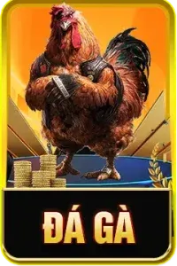 icon đá gà au88